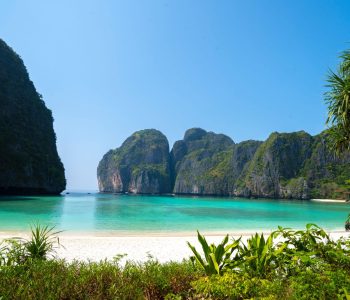 Beautiful Maya bay on Koh Phi Phi Leh island, Krabi & Near Phuket Thailand in a summer day